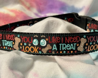 Sieht aus, als würde ich ein Leckerli brauchen, Hundehalsband, Leckereien, Geschenke, glücklicher Hund