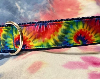 May include: A blue and white dog collar with a tie-dye pattern in shades of red, yellow, green, and blue.