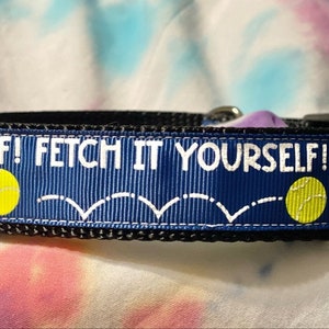 Fetch it yourself! dog collar,tennis ball, games,retrieve