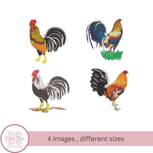 Rooster embroidery design, colorful Rooster , Majestic Rooster machine embroidery design, fighter roosters, PES DST Files instant download