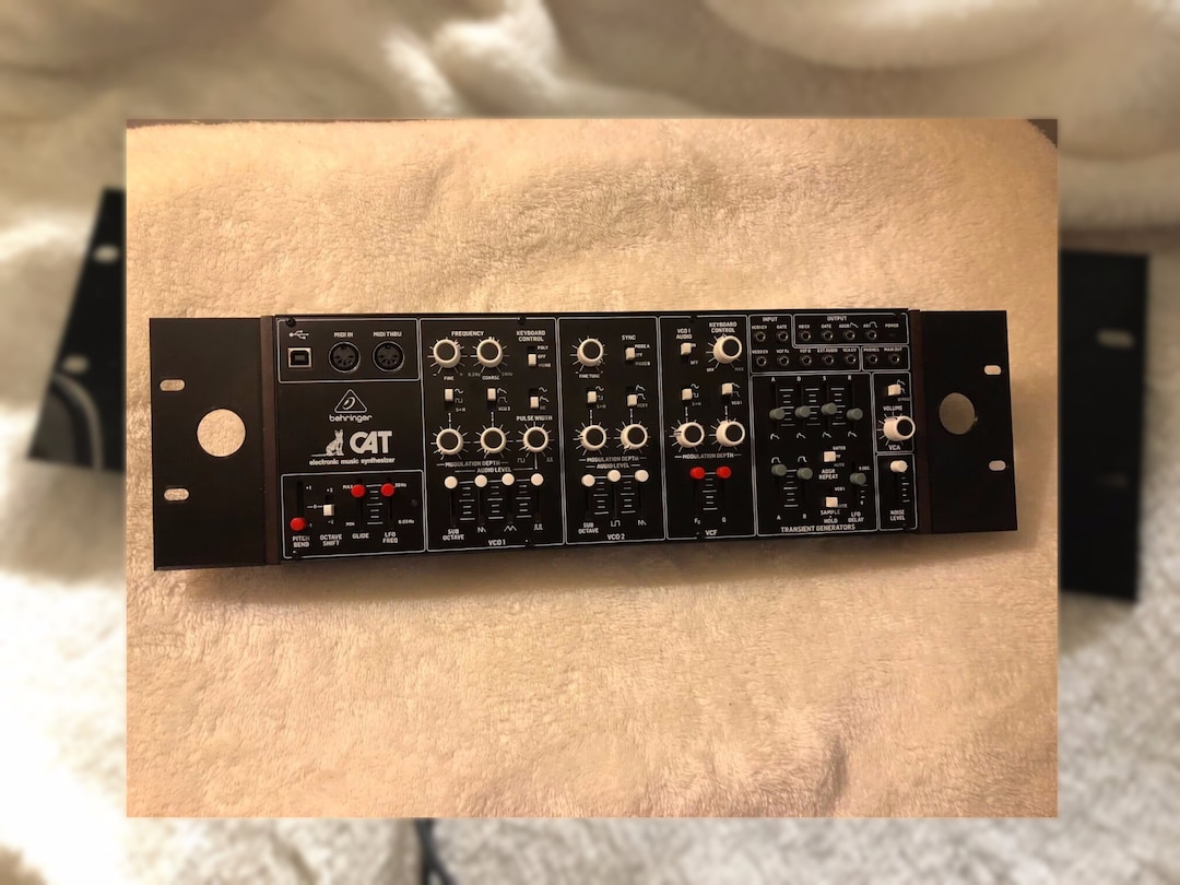 Behringer 3U Rack Ears (cat, Wasp, and Model D) - Etsy