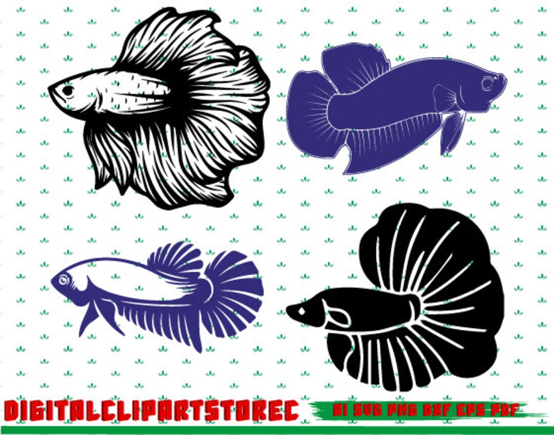 Betta Fish Svg Betta Fish Png Betta Fish Clipart Betta Fish - Etsy