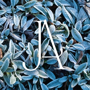 May include: The letters "JA" in white are superimposed on a background of blue-green leaves with a frosty texture.