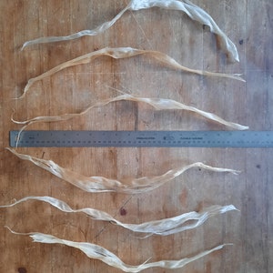 Imitation Sinew White Artificial Deer 3 Ply 4 oz