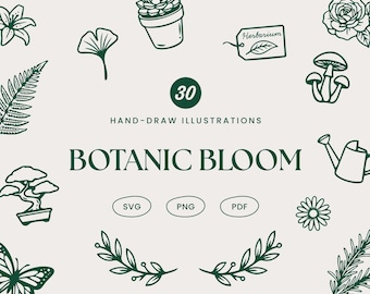 30 minimalistycznych, botanicznych clipartów z grafiką liniową, ręcznie rysowane kwiaty (PNG SVG)