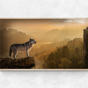 Peut inclure: Un loup solitaire se tient sur une falaise rocheuse surplombant une vallée brumeuse avec un lever de soleil doré en arrière-plan.