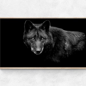 Samsung Frame TV Art, Czarno-biały wilk z bliska, Sztuka zwierząt na ramkę tv, Natychmiastowe pobieranie, Frame TV Art, sztuka telewizji cyfrowej, tapeta tv