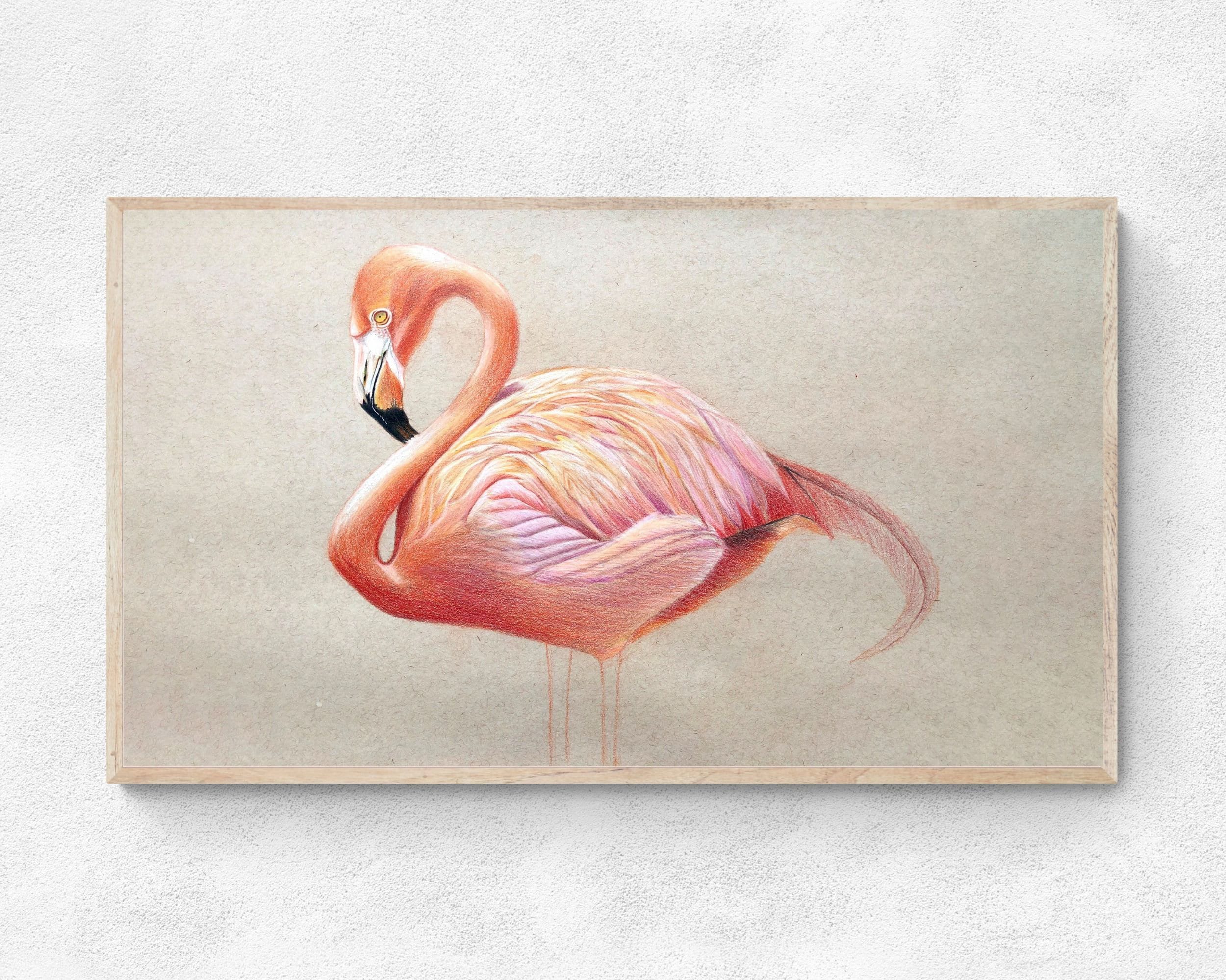 Page De Garde Cahier Poésie Flamen Rose De Coloriage Dessin flamant rose - Etsy France