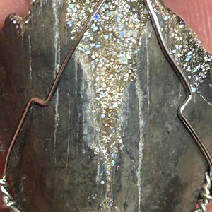 May include: A fossilized shark tooth pendant with silver wire wrapping. The tooth is a dark gray color with a light gray center and iridescent glitter embedded in the surface.