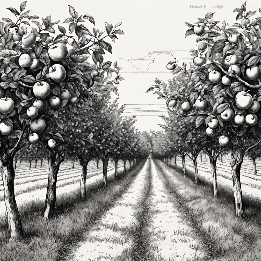 Apple Orchard Coloring Sheet - Etsy