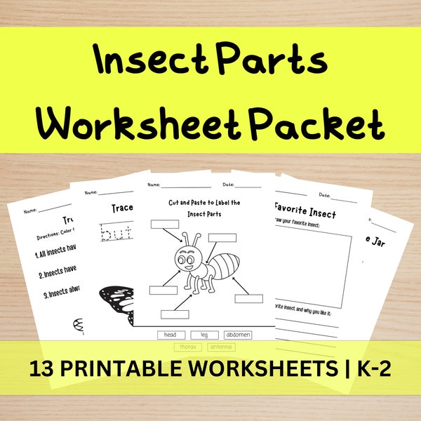 Insect Parts Worksheet Packet | Insect Worksheets | First Grade | Kindergarten | Printable Insect Worksheet Packet