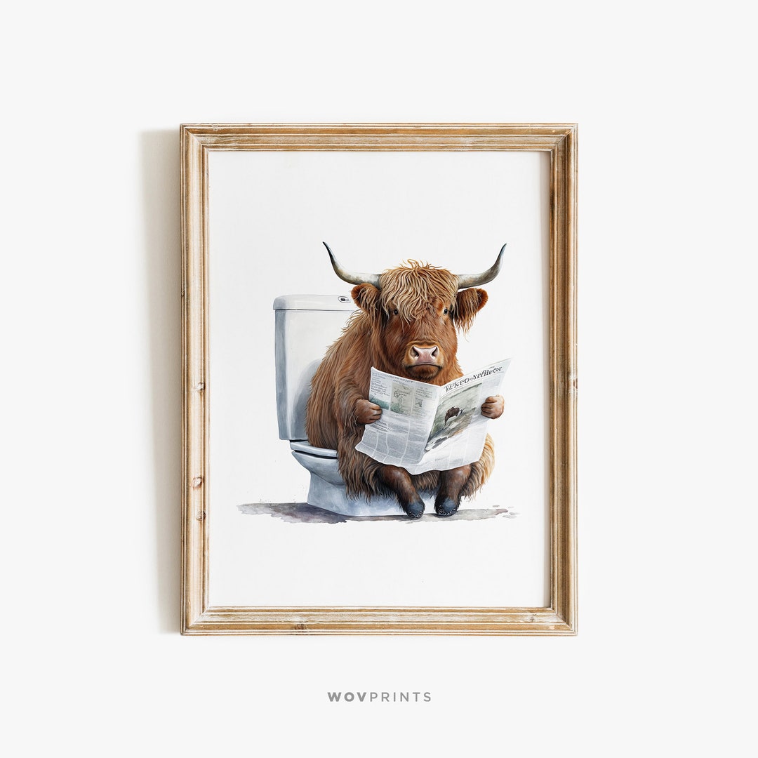 Scottish Highland Cow in Bathroom, Animal on Toilet, Funny Bathroom
