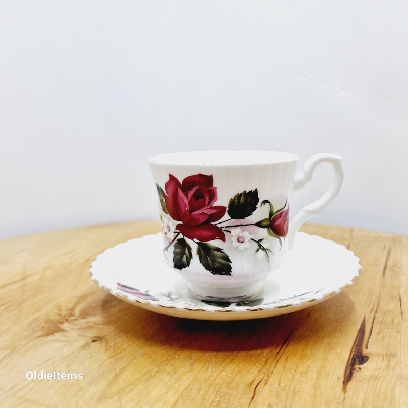 Vintage Salisbury Bone China Tea Cup and Saucer Etsy