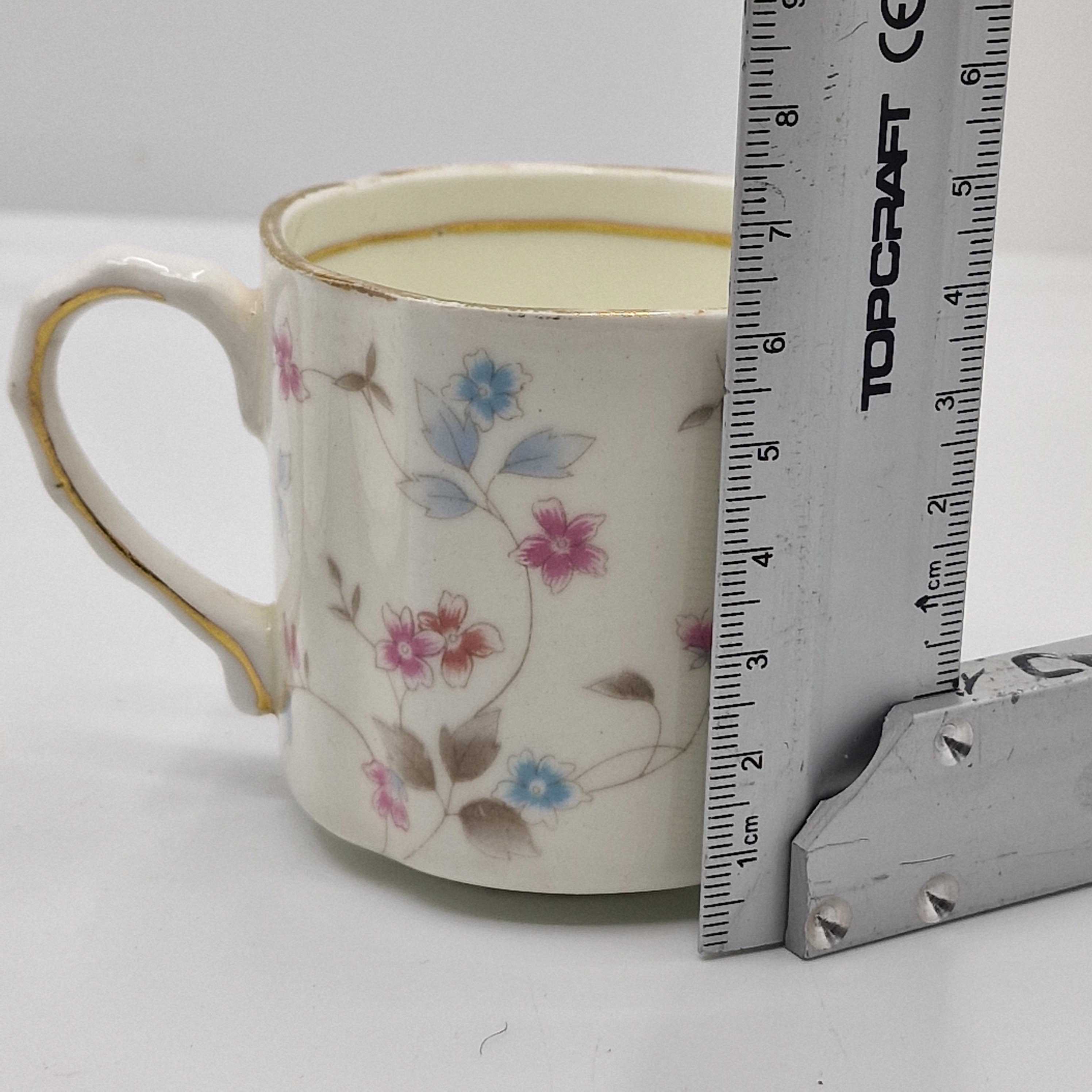 Vintage Bone China Balmoral Castle Tea Cup and Saucer: Floral