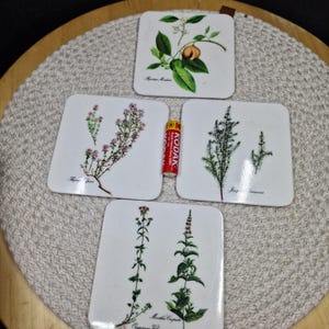 Puede incluir: Cuatro posavasos cuadrados blancos con ilustraciones botánicas. Cada posavasos presenta una planta diferente, con dibujos detallados y nombres latinos. Una pila Kodak se coloca entre los posavasos.