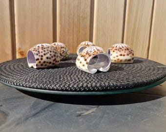 Natural Sea Shell Napkin Holders - Set of 5
