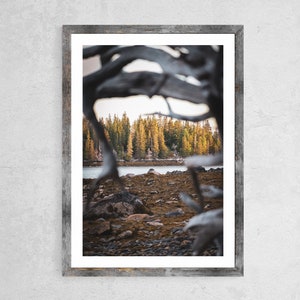 Deer Isle, Maine, Deer Isle Wall Art, Deer Isle Maine, Printable Wall Art, iPhone Background, Digital Print, Digital Purchase