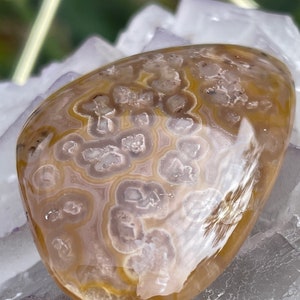 Coyamito Agate cabochon - yellow/clear