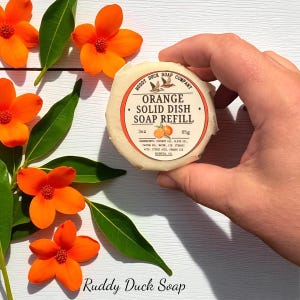 以下が含まれることがあります： 「Orange Solid Dish Soap Refill」と「85g」の文字が入った、丸いオフホワイトのオレンジ色の固形食器用石鹸の詰め替え用を手に持っています。画像はオレンジ色の花と緑の葉で飾られています。