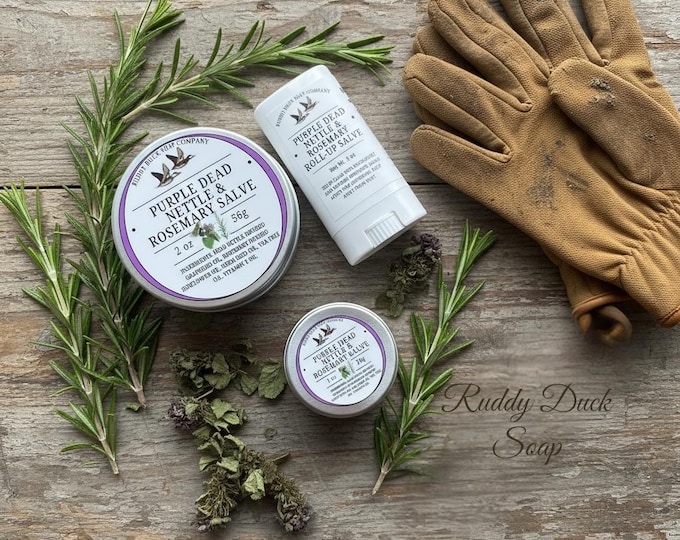 Purple Dead Nettle and Rosemary Salve