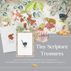 May include: Watercolor art print featuring a framed blue bird and a small mouse on a mushroom. The image includes the text "Tiny Scripture Treasures" and other text. The background has floral and botanical elements.