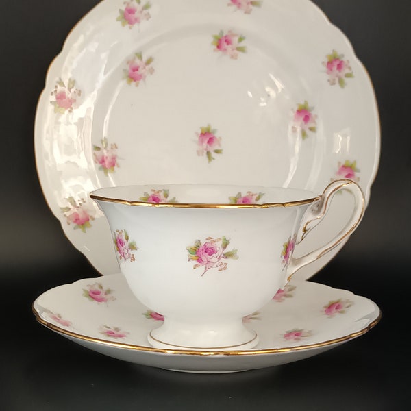 Beautiful rare Victorian Antique Wileman Foley  (Pre Shelley) scattered rose 'Gainsborough' shape Trio tea set C1900 in super condition