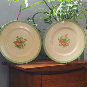 Può includere: Due piatti vintage con motivo floreale e bordo verde. I piatti sono su una superficie di legno.
