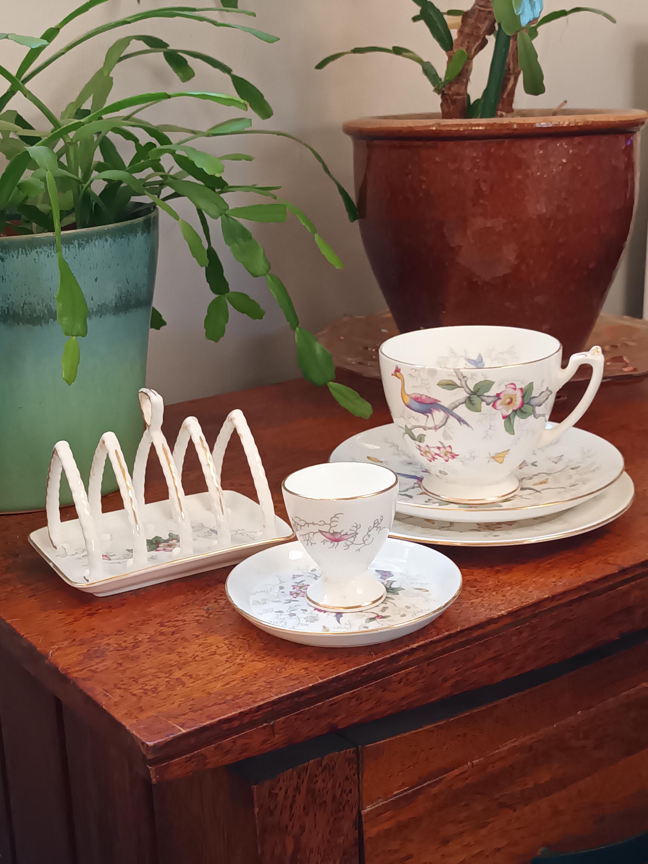 Lovely Elegant Vintage Coalport 