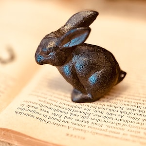 May include: A black cast iron rabbit figurine sitting on a page of a book. The rabbit is in a sitting position with its ears perked up.