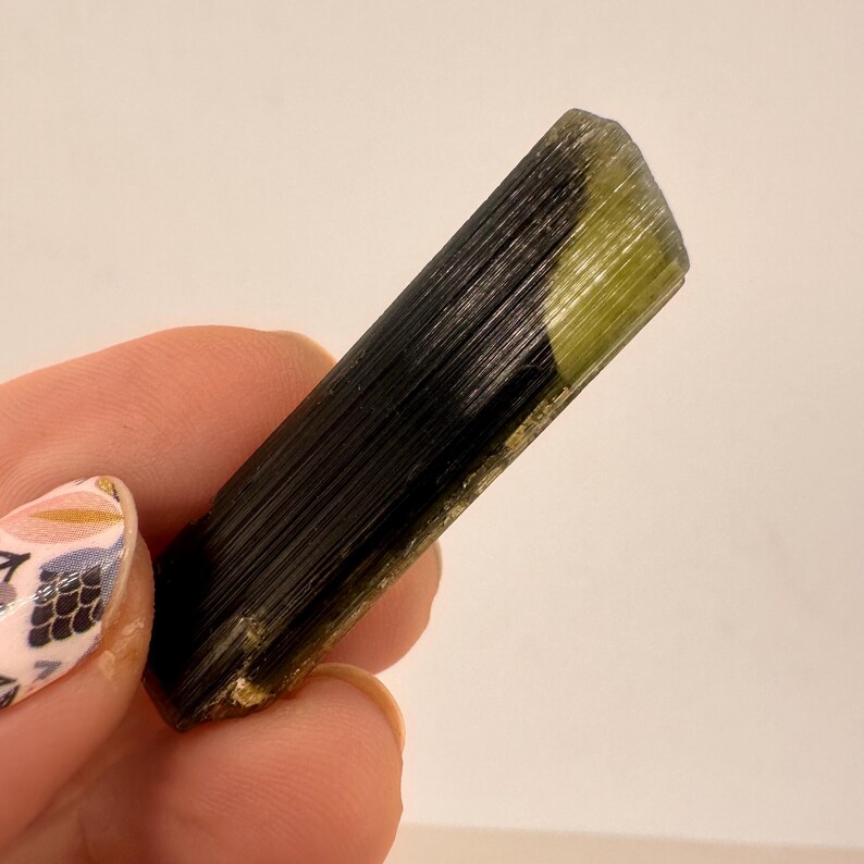 May include: A raw, elongated tourmaline crystal. The crystal is primarily black with a section of olive green at one end. The surface has visible striations. The crystal is held in a hand.