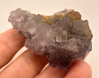 Cúmulo cúbico de fluorita púrpura: cristal de fluorita de ventana de alta calidad/muestra mineral fina