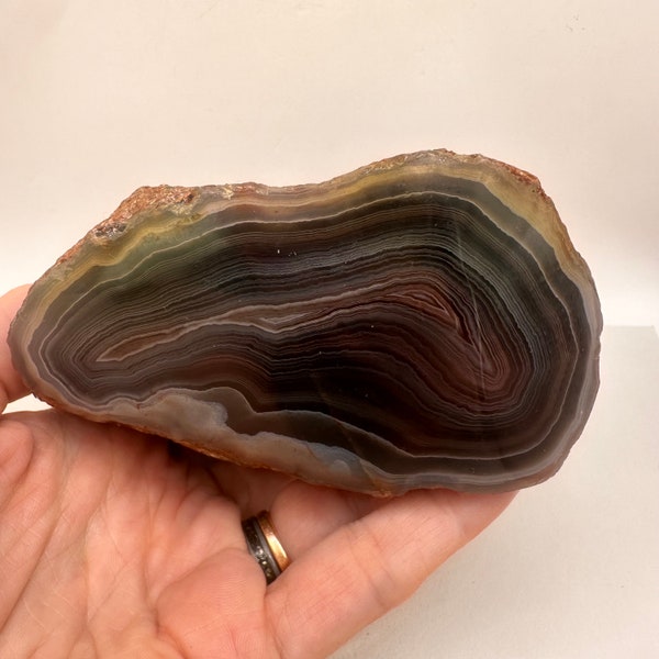 Big Top Notch Sashe River Agate Polished Nodule - Great Specimen from a Beloved Locale | Blue White Red Gray | Zimbabwe Swazi Rose