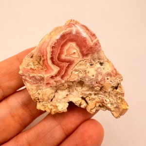 Polished Rhodochrosite Stalactite Specimen: Argentina Crystal Mineral