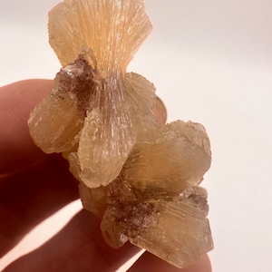 Puede incluir: Un grupo de cristales translúcidos de color marrón claro en forma de abanico. Los cristales están agrupados en una formación natural.