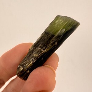 May include: A raw, natural tourmaline crystal with a dark green and black color gradient. The crystal is held in a hand, showcasing its rough, textured surface and natural form. The top portion is a vibrant green, transitioning to black.