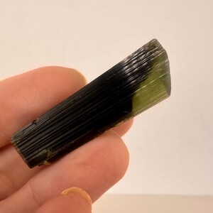 May include: A dark green and black tourmaline crystal with a striated texture. The crystal is held in a hand, showcasing its natural form and color variations. The crystal has a polished appearance.