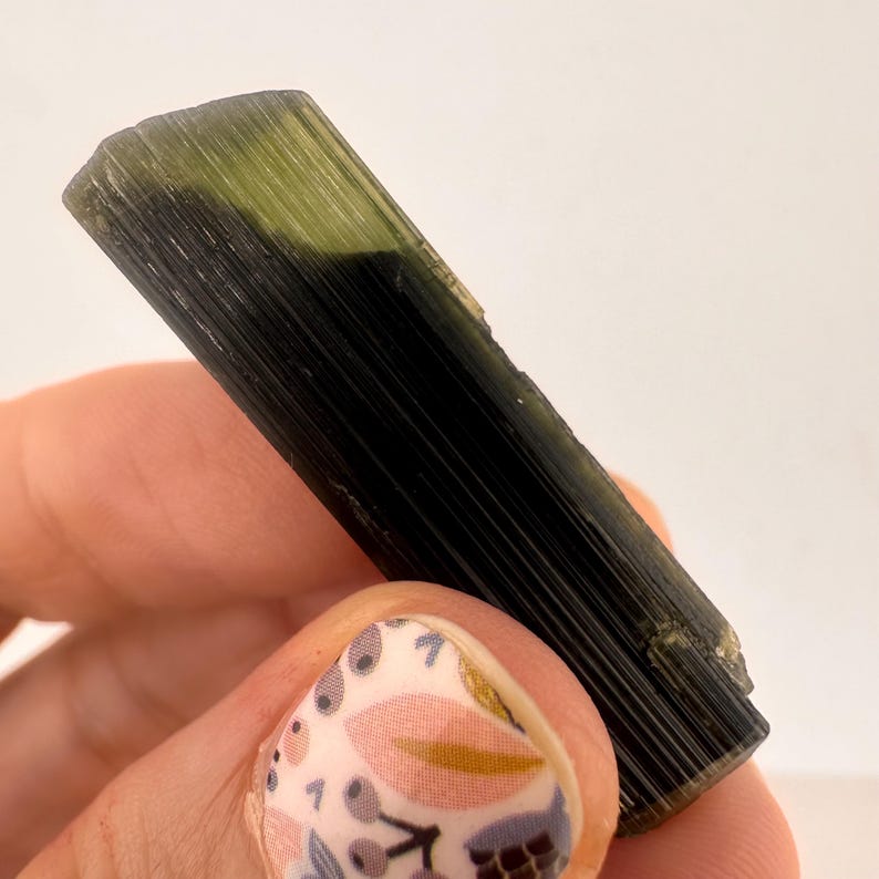 May include: A dark green tourmaline crystal with a lighter green top section. The crystal is a long, rectangular shape with vertical striations. The gemstone is held in a hand.