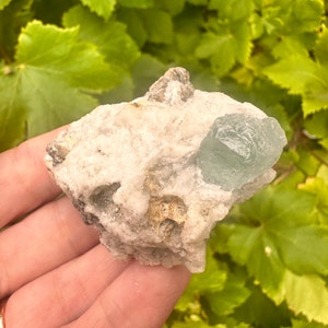 Aquamarine with Muscovite on Matrix | Sky Blue Aquamarine Crystal | Blue Beryl