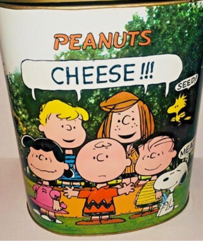 Peanuts Trash Can - Etsy