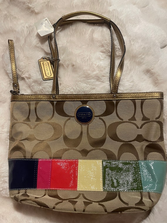 Coach Limited Edition Rainbow Lgbtq Shopper Lunch Bag Tote  display picture 1