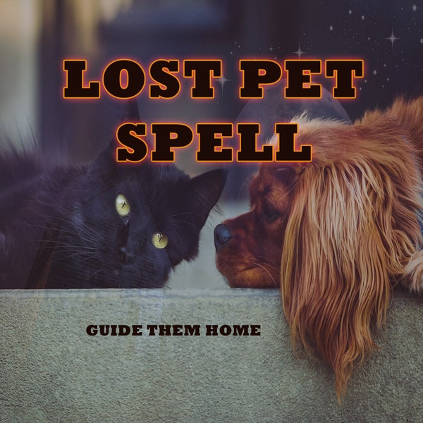 Lost Pet Spell, Bring Back Your Lost or Missing Pet, Guide Your Pet Back Home to You, Find Your Missing Pet