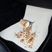 Custom Car Accessories