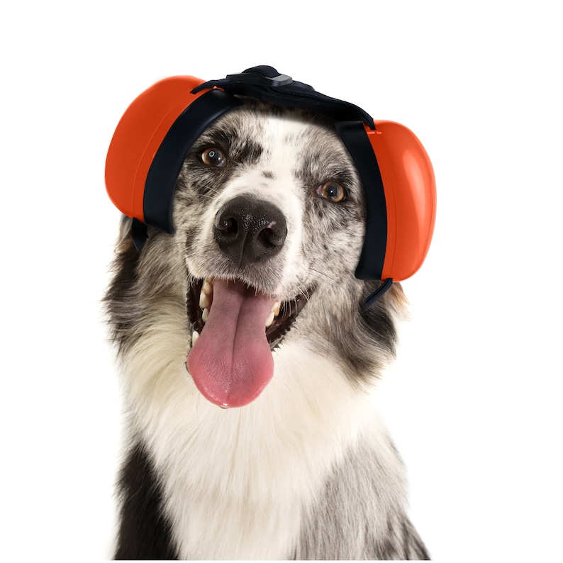 Woofworks Dog Ear Muffs for Noise Protection, Dog Headphones for