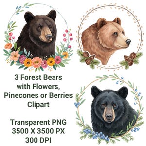 3 Waldschwarzbären mit Blumen, Tannenzapfen oder Beeren Clipart, Digital Art, transparente PNG, sofortiger digitaler Download