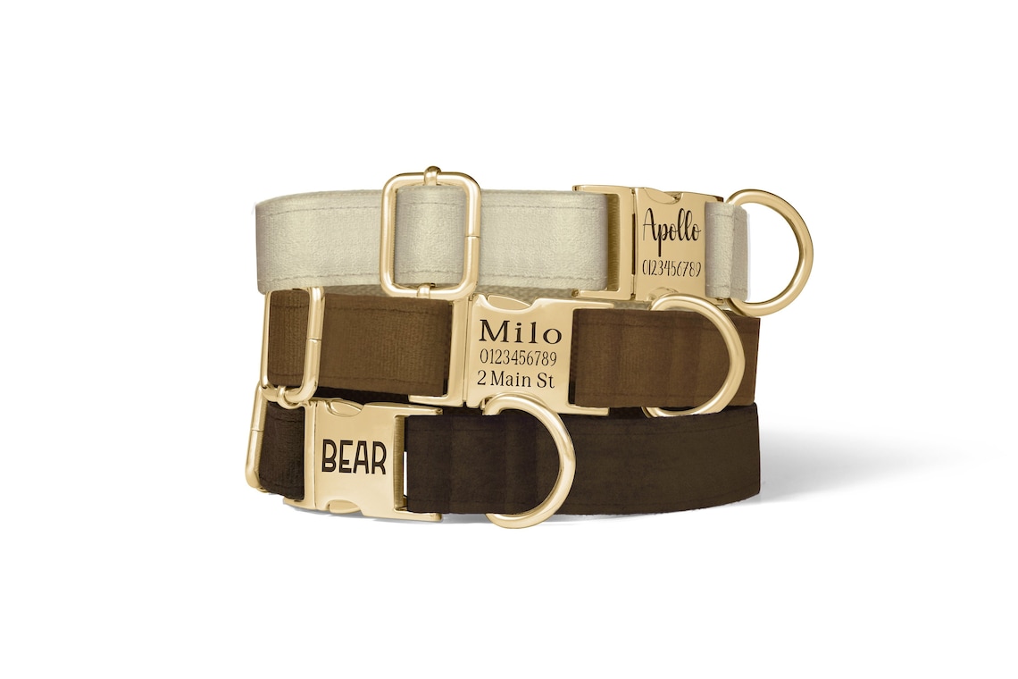 Personalised Velvet Dog Collar