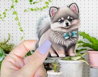Pomsky Welpe | Aufkleber für deinen Laptop | Kühlschrank | Wasserflaschen und mehr