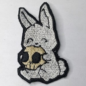 Bunny nibbling on skull
