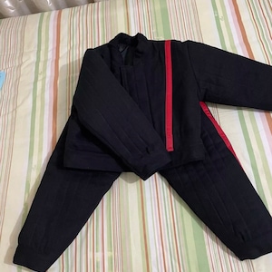 Dog bite suit