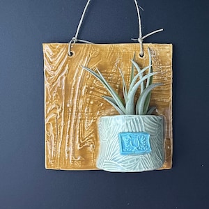 Support pour plante aérien en céramique fait main : jardinière murale en grain de bois