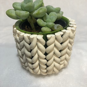 May include: A white ceramic planter with a braided design, holding a succulent plant with green leaves.